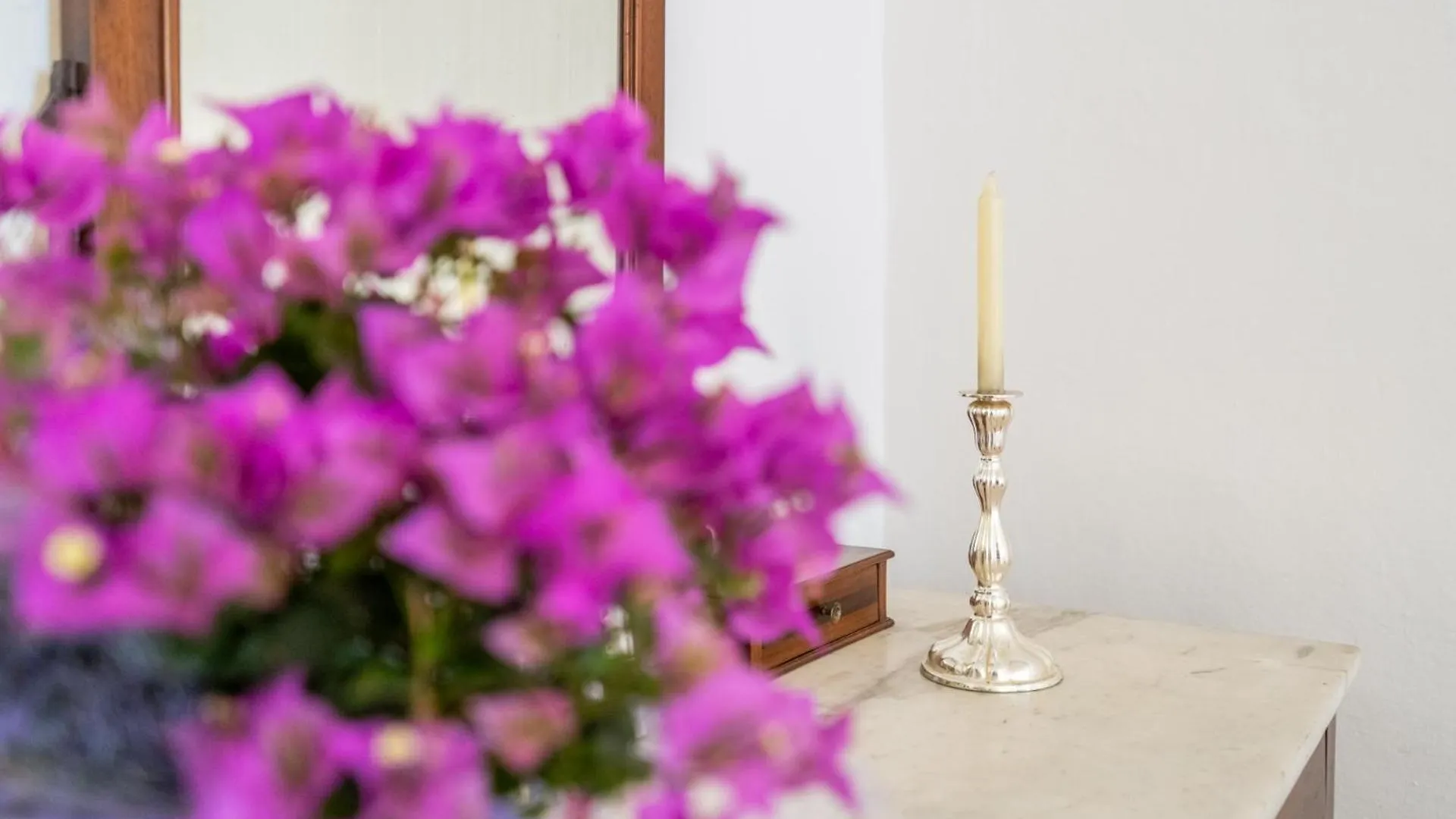 Romantic Charm In Pietrasanta Apartment